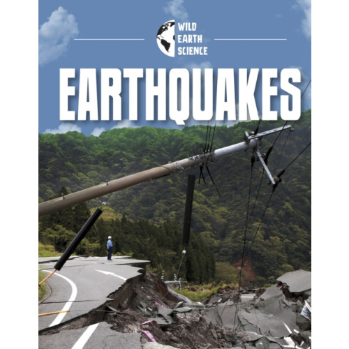 Capstone Global Library Ltd Earthquakes (inbunden, eng)