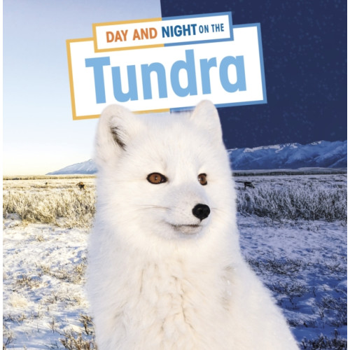 Capstone Global Library Ltd Day and Night on the Tundra (häftad, eng)