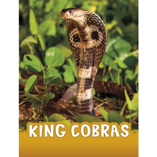 Capstone Global Library Ltd King Cobras (inbunden, eng)