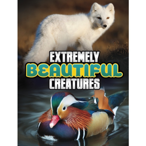 Capstone Global Library Ltd Extremely Beautiful Creatures (inbunden, eng)