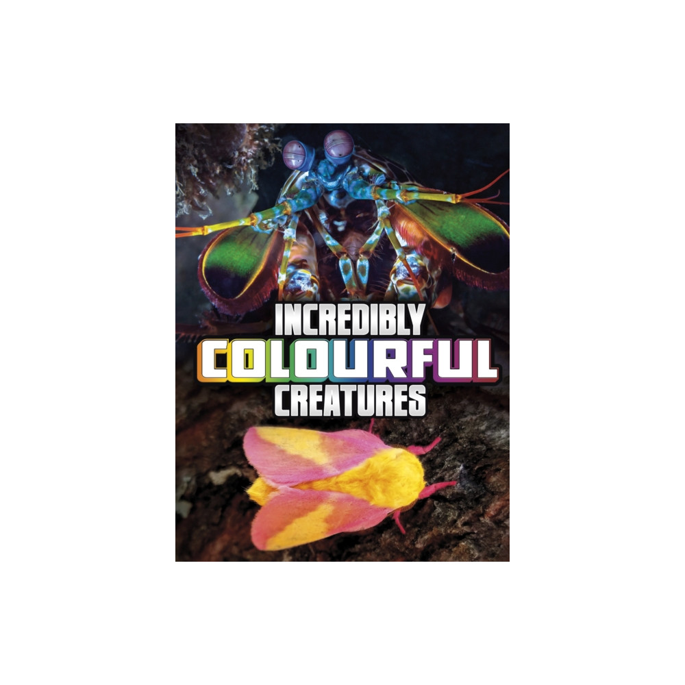 Produktbild för Incredibly Colourful Creatures (inbunden, eng)