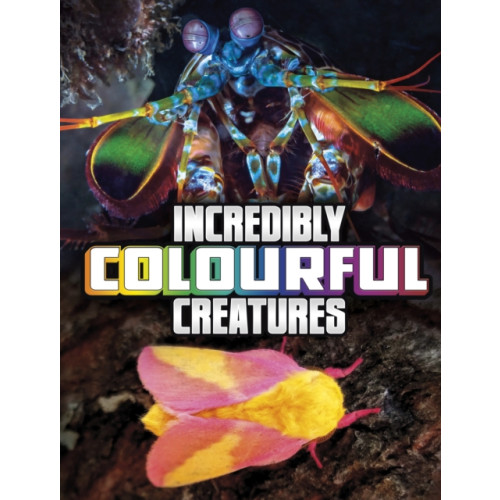 Capstone Global Library Ltd Incredibly Colourful Creatures (inbunden, eng)