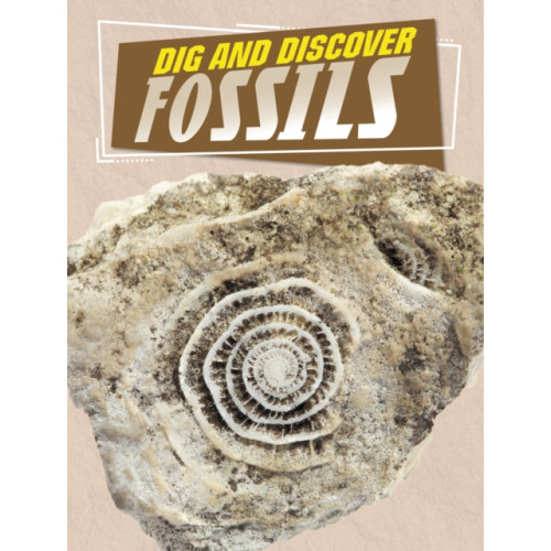 Capstone Global Library Ltd Dig and Discover Fossils (inbunden, eng)