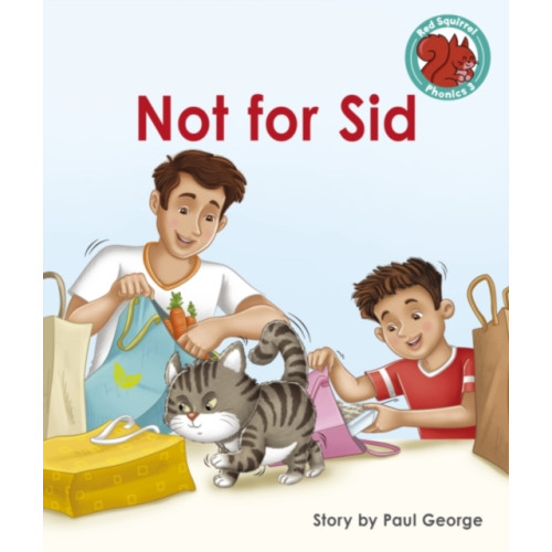 Capstone Global Library Ltd Not for Sid (häftad, eng)