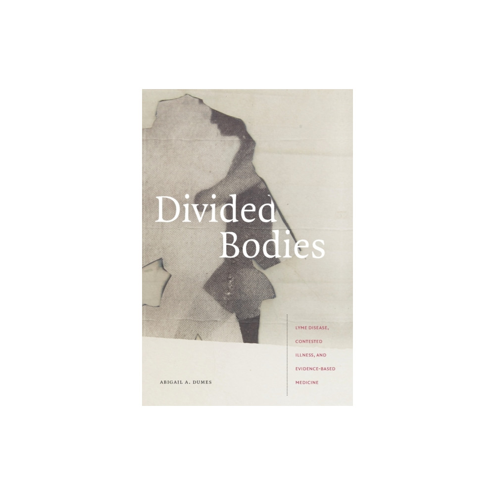 Produktbild för Divided Bodies (häftad, eng)