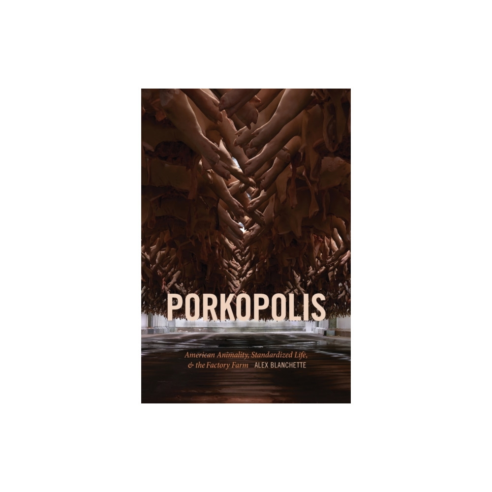 Produktbild för Porkopolis (häftad, eng)