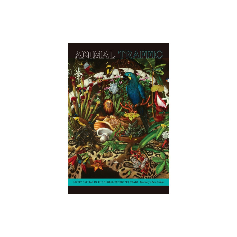 Produktbild för Animal Traffic (häftad, eng)