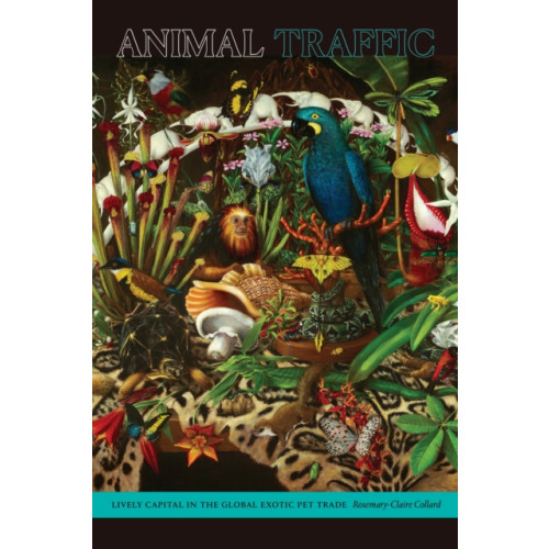 Duke university press Animal Traffic (häftad, eng)