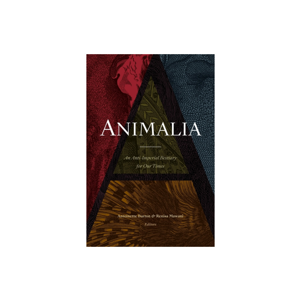 Produktbild för Animalia (häftad, eng)