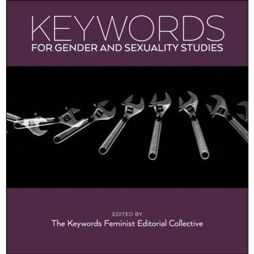 New York University Press Keywords for Gender and Sexuality Studies (häftad, eng)