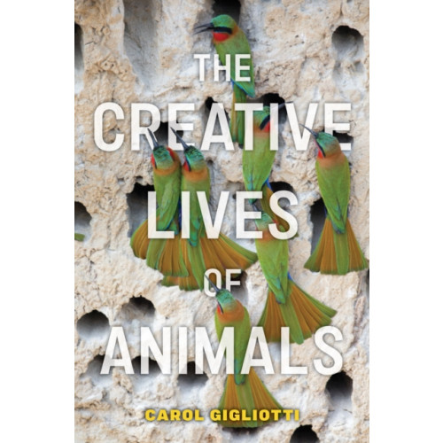 New York University Press The Creative Lives of Animals (inbunden, eng)