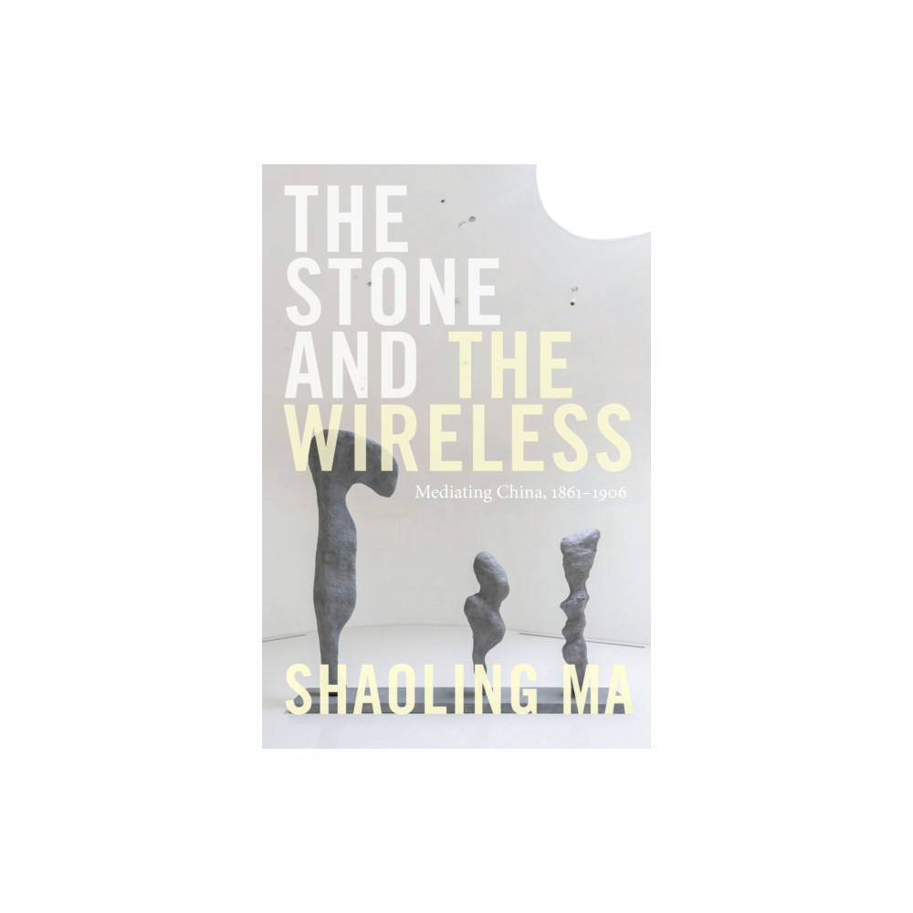 Produktbild för The Stone and the Wireless (häftad, eng)