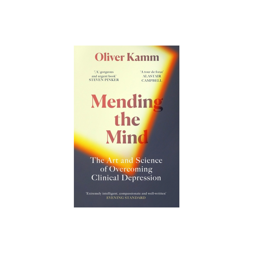 Produktbild för Mending the Mind (häftad, eng)
