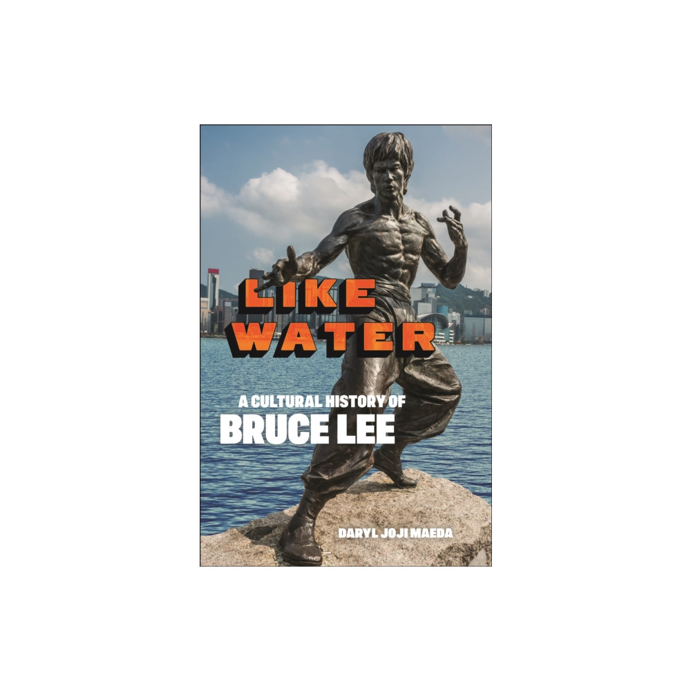 Produktbild för Like Water (häftad, eng)