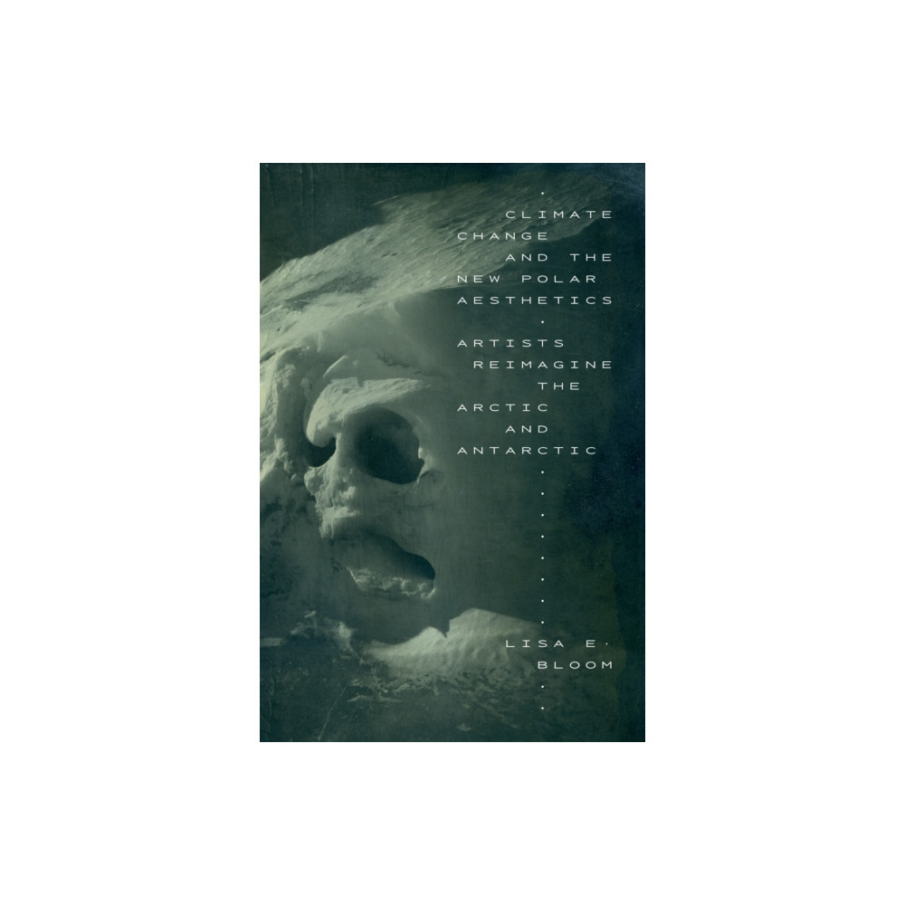 Produktbild för Climate Change and the New Polar Aesthetics (häftad, eng)