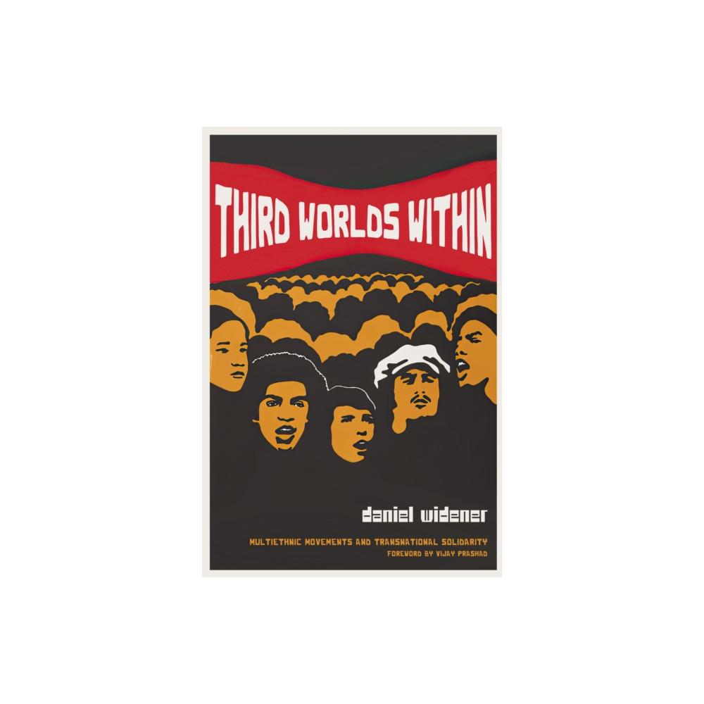 Produktbild för Third Worlds Within (häftad, eng)