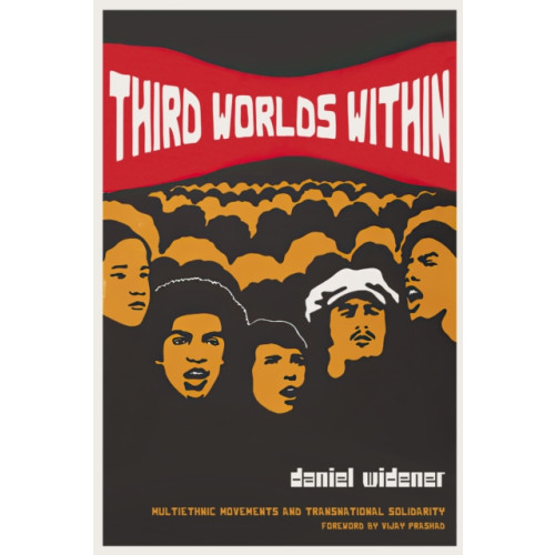 Duke university press Third Worlds Within (häftad, eng)