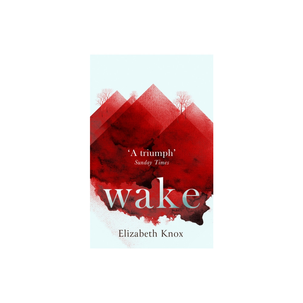 Produktbild för Wake (häftad, eng)