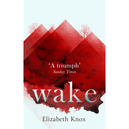 Little, Brown Book Group Wake (häftad, eng)