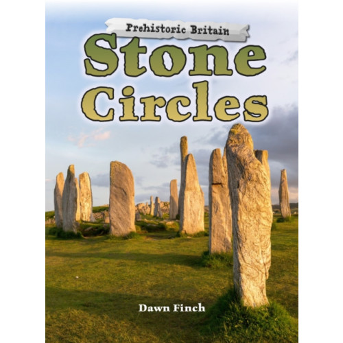 Capstone Global Library Ltd Stone Circles (häftad, eng)