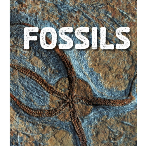 Capstone Global Library Ltd Fossils (häftad, eng)