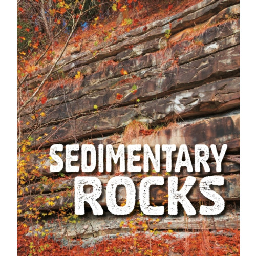 Capstone Global Library Ltd Sedimentary Rocks (häftad, eng)