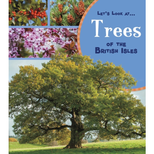 Capstone Global Library Ltd Trees of the British Isles (häftad, eng)