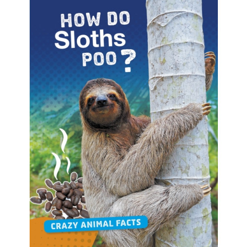 Capstone Global Library Ltd How Do Sloths Poo? (häftad, eng)