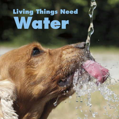 Capstone Global Library Ltd Living Things Need Water (häftad, eng)