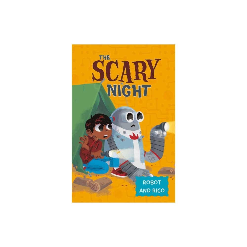 Produktbild för The Scary Night (häftad, eng)