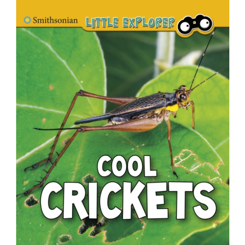 Capstone Global Library Ltd Cool Crickets (häftad, eng)