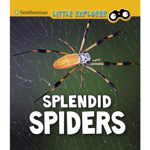 Capstone Global Library Ltd Splendid Spiders (häftad, eng)