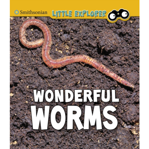 Capstone Global Library Ltd Wonderful Worms (häftad, eng)