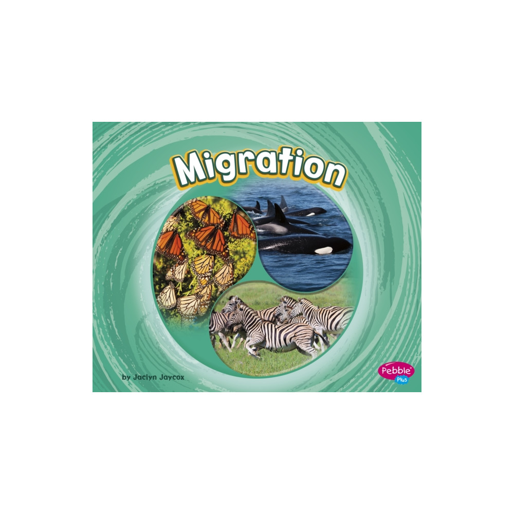 Produktbild för Migration (häftad, eng)