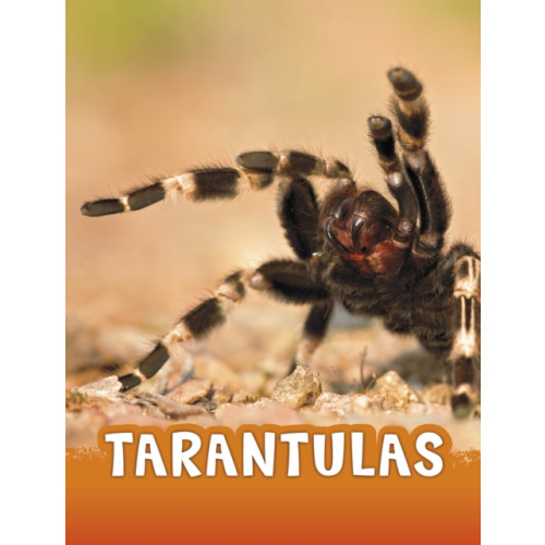 Capstone Global Library Ltd Tarantulas (häftad, eng)