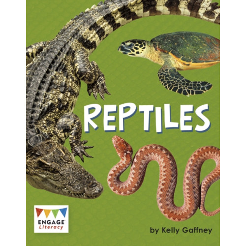 Capstone Global Library Ltd Reptiles (häftad, eng)