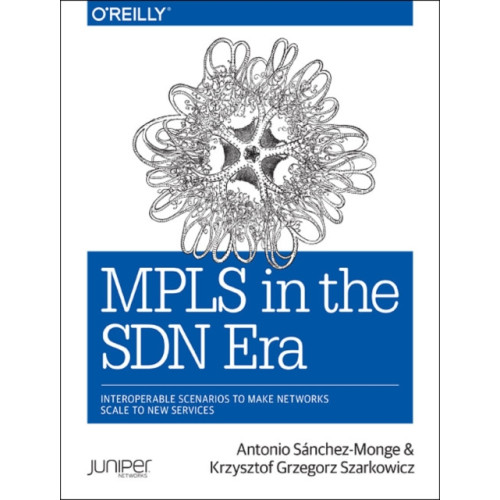 O'Reilly Media MPLS in the SDN Era (häftad, eng)