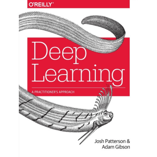 O'Reilly Media Deep Learning (häftad, eng)