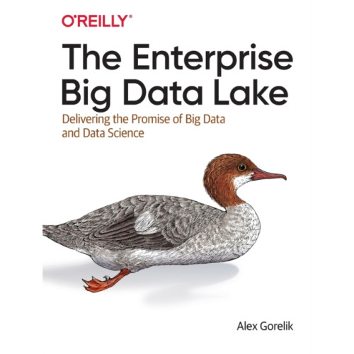 O'Reilly Media The Enterprise Big Data Lake (häftad, eng)