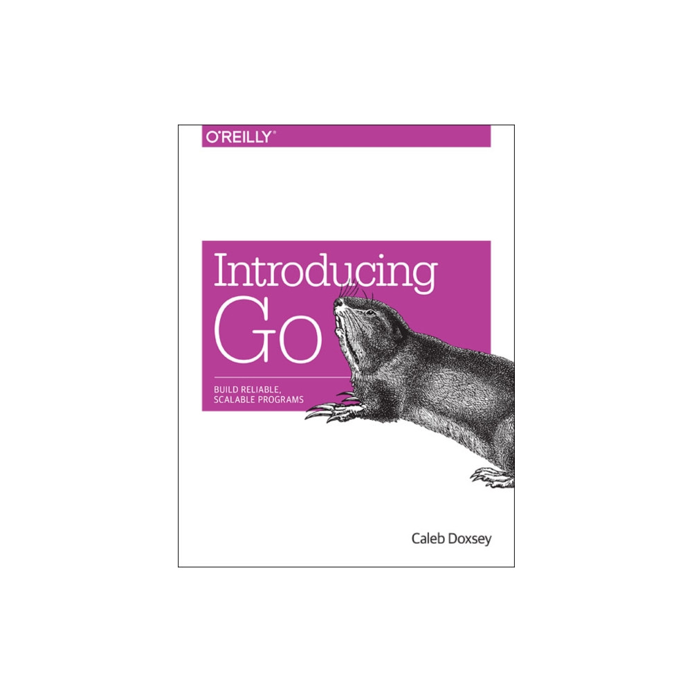 Produktbild för Introducing Go (häftad, eng)