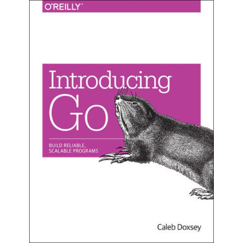 O'Reilly Media Introducing Go (häftad, eng)