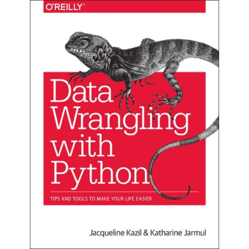 O'Reilly Media Data Wrangling with Python (häftad, eng)