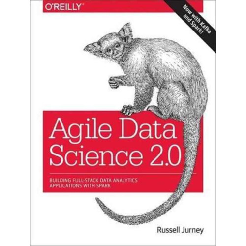 O'Reilly Media Agile Data Science 2.0 (häftad, eng)