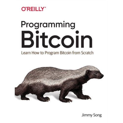 O'Reilly Media Programming Bitcoin (häftad, eng)