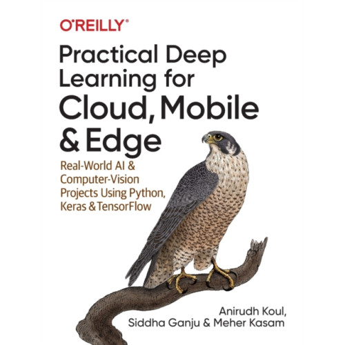 O'Reilly Media Practical Deep Learning for Cloud and Mobile (häftad, eng)