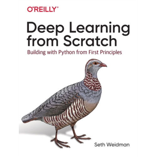 O'Reilly Media Deep Learning from Scratch (häftad, eng)