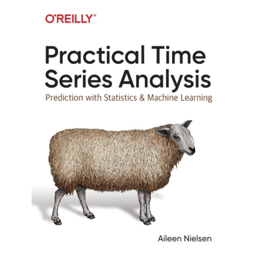 O'Reilly Media Practical Time Series Analysis (häftad, eng)