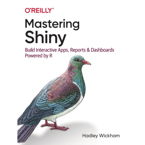 O'Reilly Media Mastering Shiny (häftad, eng)
