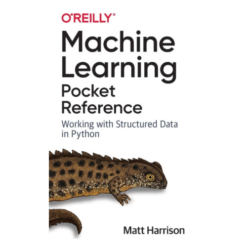 O'Reilly Media Machine Learning Pocket Reference (häftad, eng)