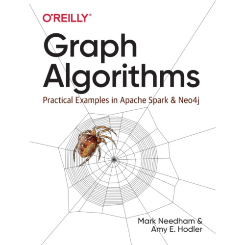 O'Reilly Media Graph Algorithms (häftad, eng)